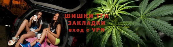 дмт Абаза