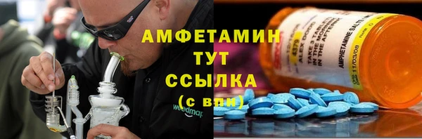 дмт Абаза