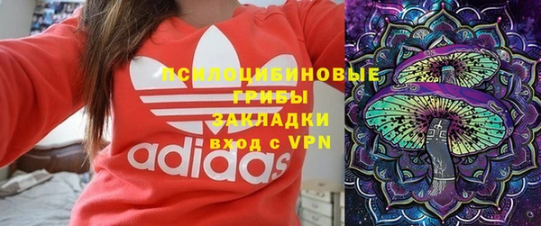 дмт Абаза