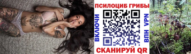 где можно купить   shop клад  Галлюциногенные грибы Magic Shrooms  Красавино 
